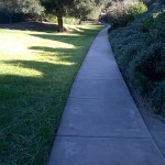Crown Hills Begonia Path