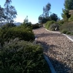 Crown Hills Pathways